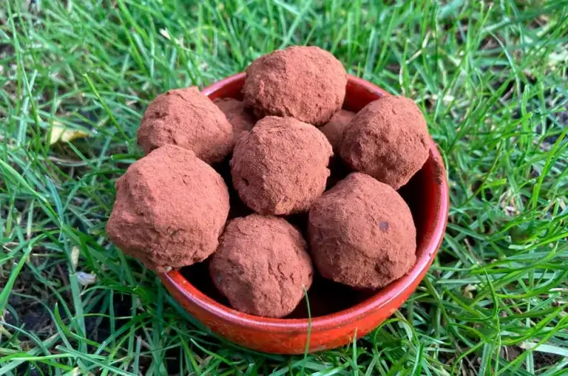 Bliss Balls (dátiles con frutos secos y cacao o coco)