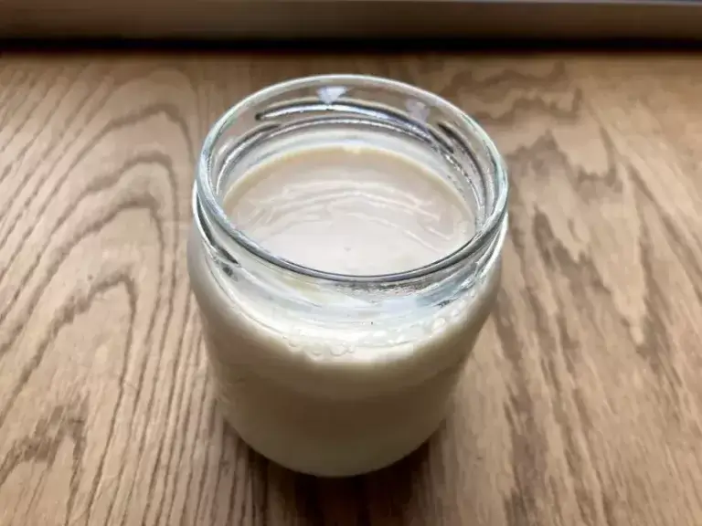 Yogurt de soja casero